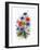 Cornflower, Poppy and Ox-Eye Daisy-Nell Hill-Framed Giclee Print