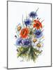 Cornflower, Poppy and Ox-Eye Daisy-Nell Hill-Mounted Giclee Print