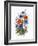 Cornflower, Poppy and Ox-Eye Daisy-Nell Hill-Framed Giclee Print