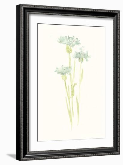 Cornflower Study IV-June Vess-Framed Art Print