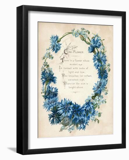 Cornflower-null-Framed Art Print