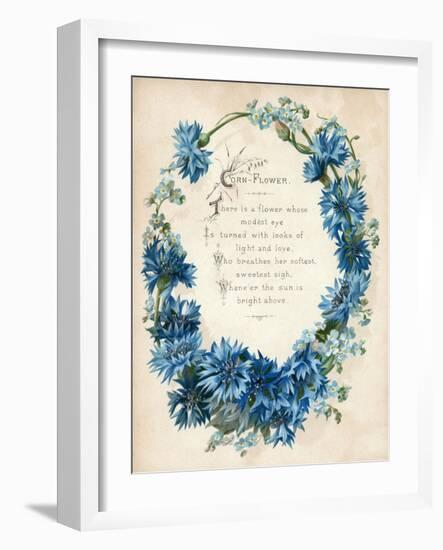 Cornflower-null-Framed Art Print