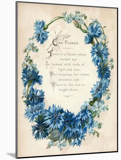 Cornflower-null-Mounted Art Print