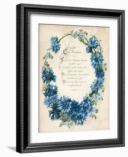 Cornflower-null-Framed Art Print