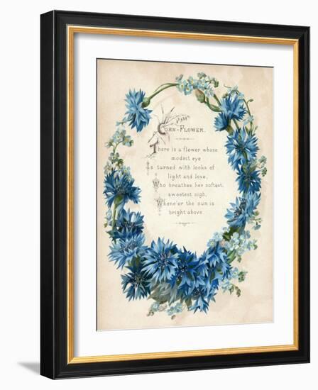 Cornflower-null-Framed Art Print