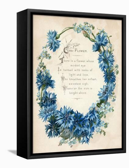 Cornflower-null-Framed Stretched Canvas