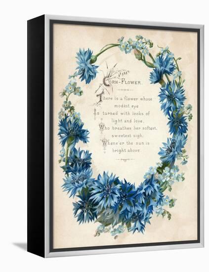 Cornflower-null-Framed Stretched Canvas