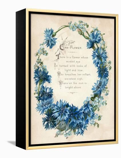 Cornflower-null-Framed Stretched Canvas