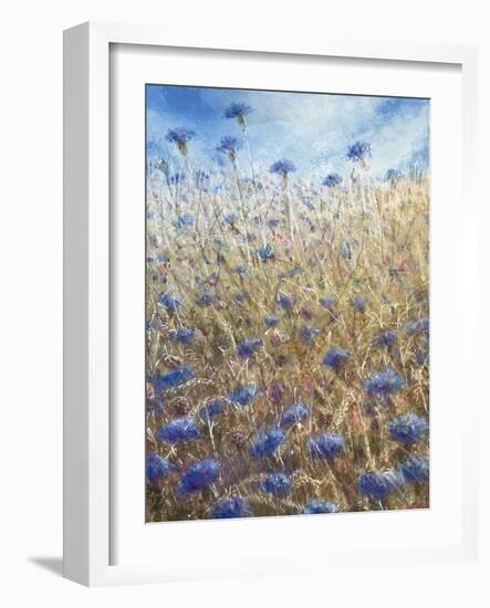 Cornflowers 2-Lincoln Seligman-Framed Giclee Print
