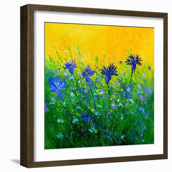 Cornflowers field-Pol Ledent-Framed Art Print