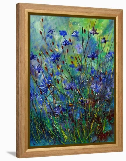 Cornflowers-Pol Ledent-Framed Stretched Canvas