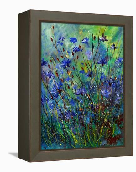 Cornflowers-Pol Ledent-Framed Stretched Canvas