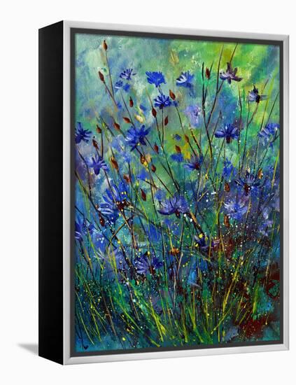 Cornflowers-Pol Ledent-Framed Stretched Canvas