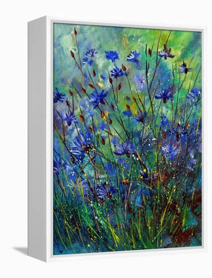 Cornflowers-Pol Ledent-Framed Stretched Canvas