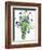 Cornflowers-Christopher Ryland-Framed Giclee Print