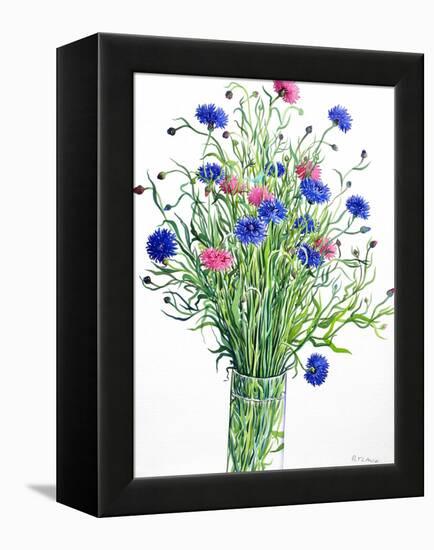 Cornflowers-Christopher Ryland-Framed Premier Image Canvas