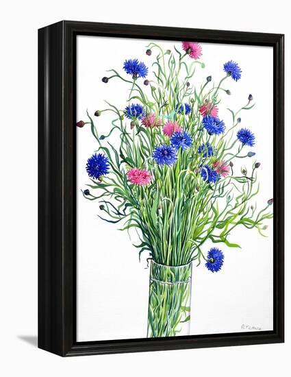 Cornflowers-Christopher Ryland-Framed Premier Image Canvas