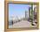 Corniche, Beirut, Lebanon, Middle East-Wendy Connett-Framed Premier Image Canvas