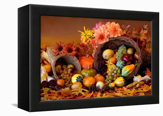 Cornucopia II-Kathy Mahan-Framed Premier Image Canvas