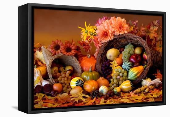 Cornucopia II-Kathy Mahan-Framed Premier Image Canvas