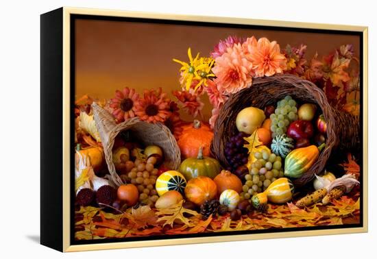 Cornucopia II-Kathy Mahan-Framed Premier Image Canvas