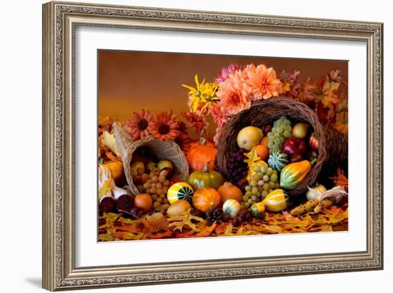 Cornucopia II-Kathy Mahan-Framed Photographic Print