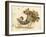 Cornucopia-Kate Greenaway-Framed Art Print