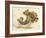 Cornucopia-Kate Greenaway-Framed Art Print