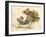 Cornucopia-Kate Greenaway-Framed Art Print