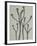 Cornus florida-Karl Blossfeldt-Framed Giclee Print