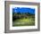 Cornwall Cricket Club, Auckland, New Zealand-David Wall-Framed Photographic Print