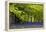 Cornwall Llanhydrock Gardens-Dr. Keith Wheeler-Framed Premier Image Canvas