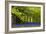 Cornwall Llanhydrock Gardens-Dr. Keith Wheeler-Framed Photographic Print