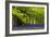 Cornwall Llanhydrock Gardens-Dr. Keith Wheeler-Framed Photographic Print