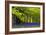 Cornwall Llanhydrock Gardens-Dr. Keith Wheeler-Framed Photographic Print