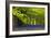 Cornwall Llanhydrock Gardens-Dr. Keith Wheeler-Framed Photographic Print