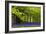 Cornwall Llanhydrock Gardens-Dr. Keith Wheeler-Framed Photographic Print