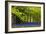 Cornwall Llanhydrock Gardens-Dr. Keith Wheeler-Framed Photographic Print