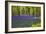 Cornwall Llanhydrock Gardens-Dr. Keith Wheeler-Framed Photographic Print