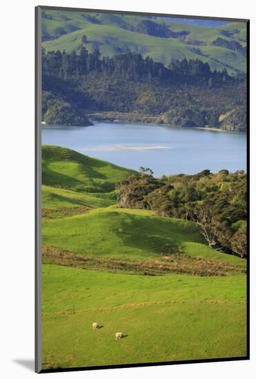 Coromandel Peninsula, North Island, New Zealand-Paul Dymond-Mounted Photographic Print