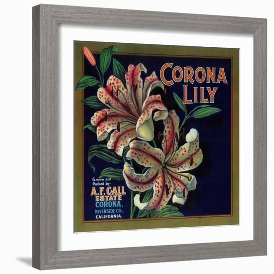 Corona Lily Orange Label - Corona, CA-Lantern Press-Framed Art Print