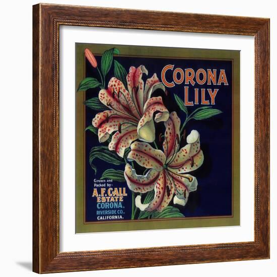 Corona Lily Orange Label - Corona, CA-Lantern Press-Framed Art Print