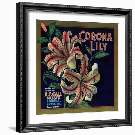 Corona Lily Orange Label - Corona, CA-Lantern Press-Framed Art Print