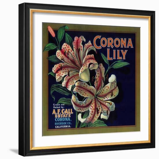 Corona Lily Orange Label - Corona, CA-Lantern Press-Framed Art Print