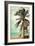 Coronado, California - Lifeguard Shack and Palm-Lantern Press-Framed Art Print