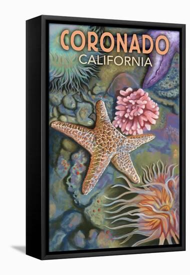 Coronado, California - Tidepools-Lantern Press-Framed Stretched Canvas