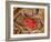 Coronary Artery, SEM-Steve Gschmeissner-Framed Photographic Print