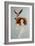 Coronation of a Redhead, 2016-Susan Adams-Framed Giclee Print