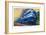 Coronation Scot Express, L.M.S.R., 1938-Unknown-Framed Giclee Print