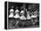 Corps de Ballet Listening to Ballet Master During Rehearsal of "Swan Lake" at Paris Opera-Alfred Eisenstaedt-Framed Premier Image Canvas